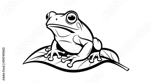 Black and white frog illustration sitting on a leaf isolated vector