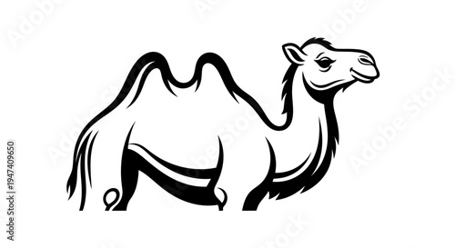 Black and white illustration of a camel animal isolated on a white background