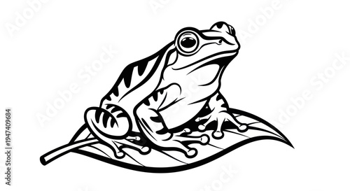 Black and white illustration of a frog on a leaf vector design