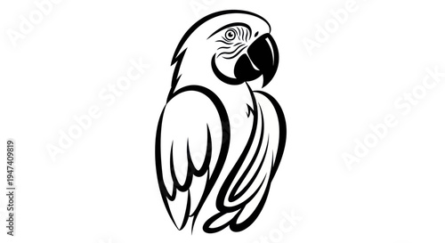 Black and white macaw illustration vector design on a white background