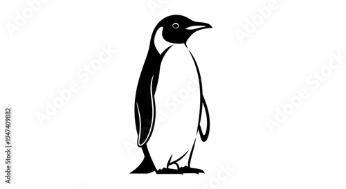 Black and white penguin illustration on a clean white background