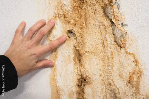 Bild auf Leinwand Person inspecting concrete crack, close-up