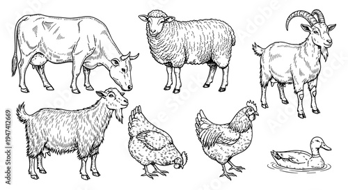Farm animals illustration featuring a cow, sheep, two goats, two chickens, and a duck, set against a white background, presented in a classic sketched style