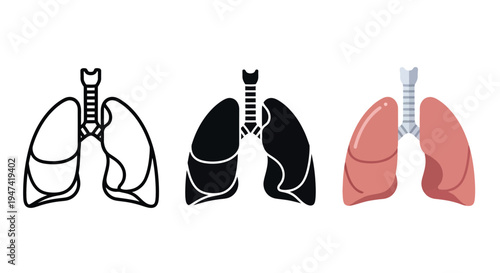 Three distinct stylized representations of the human lungs and respiratory system, offering diverse visual interpretations for medical and educational designs.