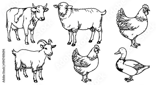 Detailed hand-drawn line art illustrations of essential farm animals cow, sheep, goat, chicken, and duck, representing diverse agricultural livestock