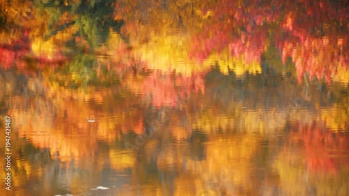 Abstract reflection of vibrant autumn forest on lake surface with ripples and moving debris, cinematic water mirror effect with fall colors and natural organic textures