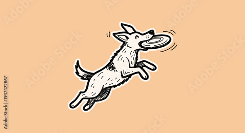 Dog jumping for a frisbee.