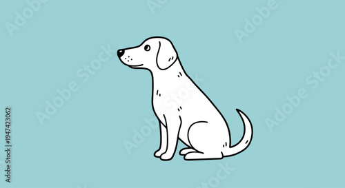 White dog sitting and looking left.