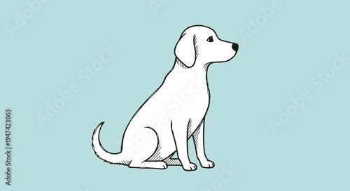 White dog sitting and looking right.