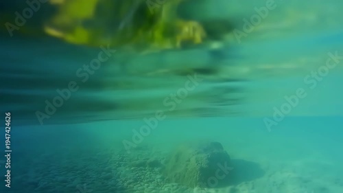 Tropical Paradise - Over-Under View of Clear Ocean Water and Lush Island Shoreline.