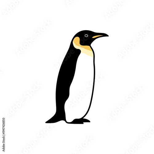 Emperor Penguin Standing On White Background vector illustration