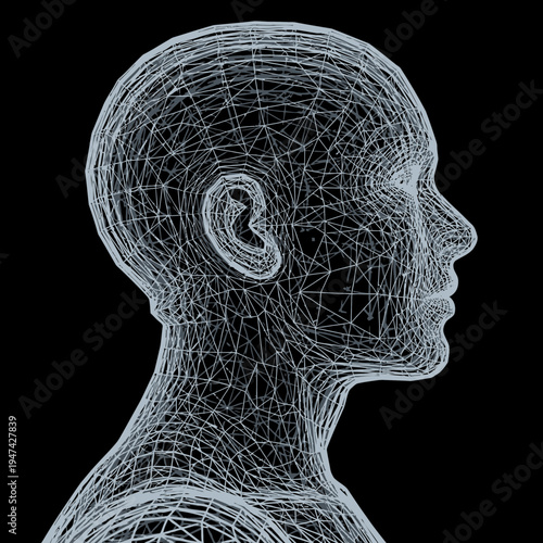 Wireframe Human Head Side View.