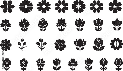 Black and White Floral Patterns, Symmetrical Flower Designs