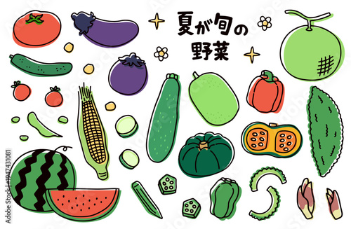 夏が旬の野菜のイラストセット