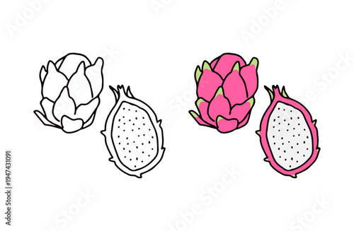 色ありと白黒のドラゴンフルーツのイラストセット