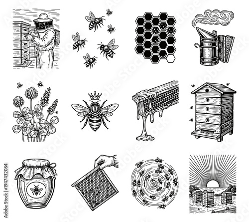 Beekeeping and honey production illustration set. Hand-drawn vintage sketches of bees, hives, honeycombs, and beekeeper tools. Organic farm-to-table graphics on a white background.