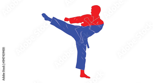 Dynamic vector illustration of a martial arts practitioner performing a powerful high kick, featuring a striking red and blue design.