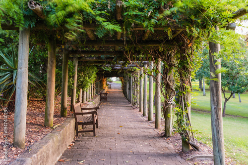 Wallpaper Mural Camden, NSW, Australia – February 16, 2026: historic town street scene with local shops and cafes, small-town architecture and roadside daily life in Camden, New South Wales editorial image Torontodigital.ca