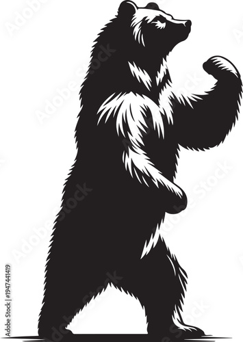Bear silhouette vector art illustration. Bear vector icon.