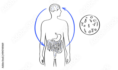 Gut Brain Connection
