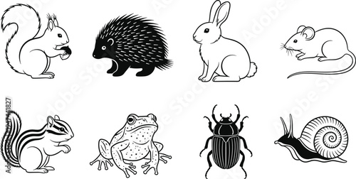 cute woodland animals set, squirrel, porcupine, rabbit, mouse, chipmunk, frog, beetle, snail, vector illustration, outline cartoon wildlife collection isolated background