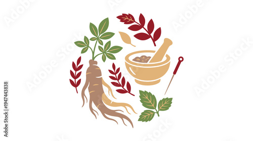 Herbal Remedies Circular Arrangement with Roots and Leaves. Vector Illustrations. EPS Editable