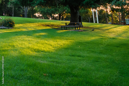 Wallpaper Mural Camden, NSW, Australia – February 16, 2026: historic town street scene with local shops and cafes, small-town architecture and roadside daily life in Camden, New South Wales editorial image Torontodigital.ca