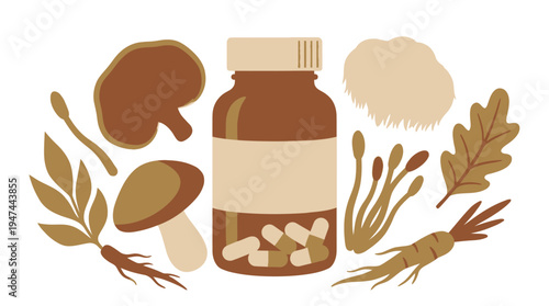 Herbal Supplements Bottle with Botanicals and Mushrooms. Vector Illustrations. EPS Editable