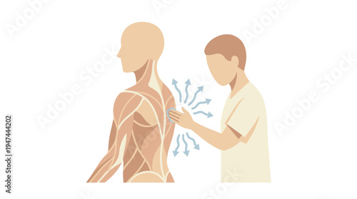 Anatomy Inspired Massage Therapy Demonstration Session. Vector Illustrations. EPS Editable