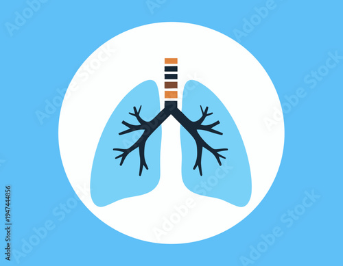 flat vector icon of human lungs respiratory system with trachea detail