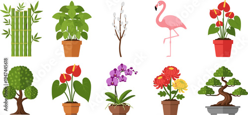 set, flat, vector, tropical, plants, houseplants, bamboo, basil, flamingo, orchid, anthurium, bonsai, chrysanthemum, trees, botanical, icons, collection, nature, garden, illustration
