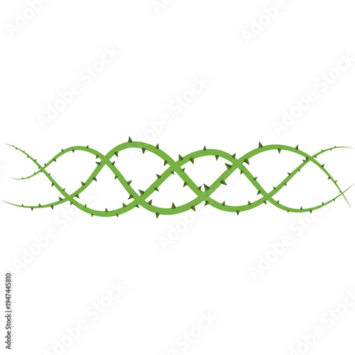 Thorny Stem Illustration