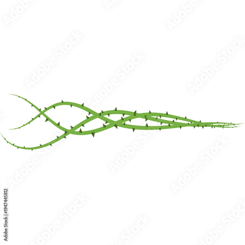 Thorny Stem Illustration