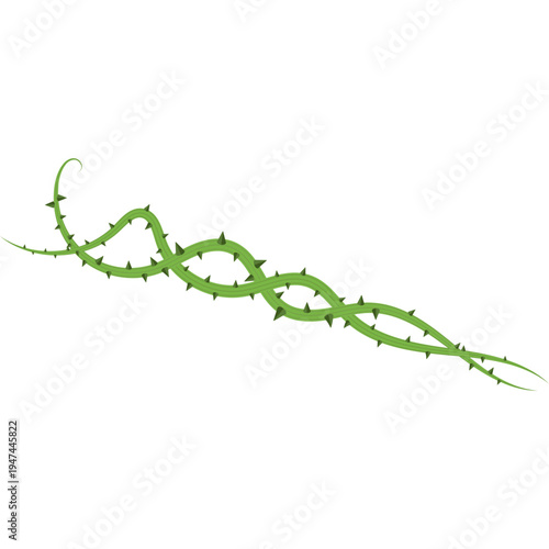 Thorny Stem Illustration