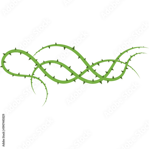 Thorny Stem Illustration