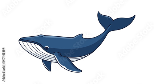 Blue Whale Swimming Illustration Isolated Vector Design Element for Marine Life Projects