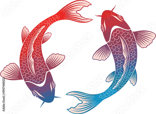 Colorful koi fish pair illustration forming circle, traditional Japanese carp symbol of balance harmony and luck isolated on white