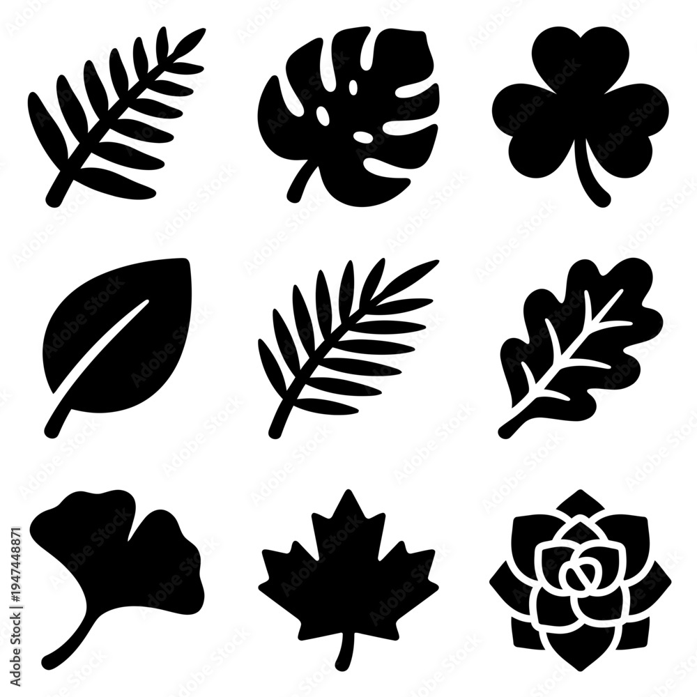 Fototapeta premium Set of nine black leaf silhouettes vector icons collection.