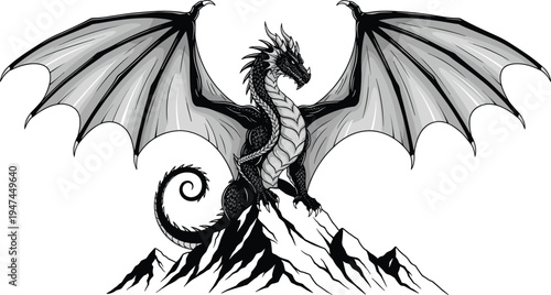 dragon illustration, fantasy dragon artwork, flying dragon drawing, medieval dragon design, mythical dragon creature, dragon tattoo illustration, fantasy beast dragon,