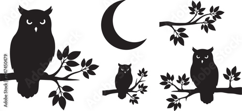 Owls perched on tree branches under crescent moon
