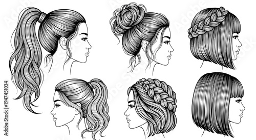 Various Women's Hairstyles Black  White Line Art Illustration for Beauty  Fashion