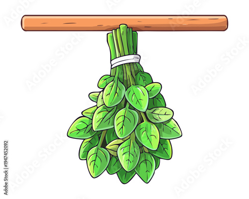 Hanging fresh green basil herb bundle for kitchen seasoning and organic cooking ingredients with natural leaves and wooden support - Vector Illustration