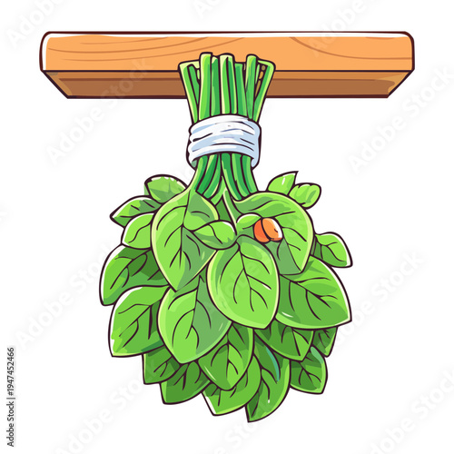 Hanging bundle of fresh green herbs for natural kitchen seasoning and organic aromatic plant shop marketing materials - Vector Illustration