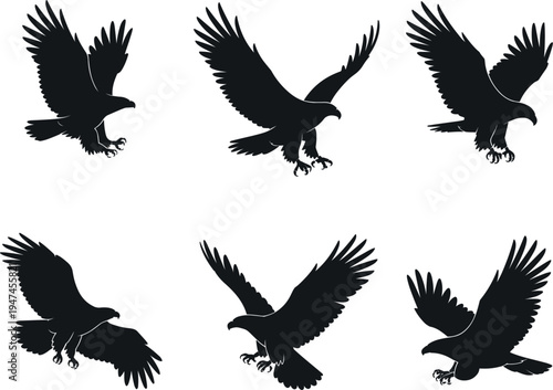 Flying eagle silhouettes collection, majestic hawk birds set vector for wild nature animal design projects