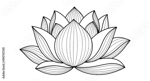 Detailed line art illustration of a blooming lotus flower on a white background