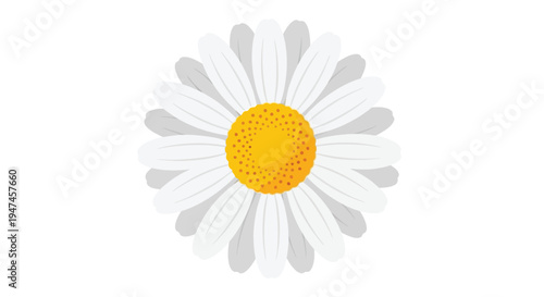A vibrant stylized daisy flower with a bright yellow center and white petals