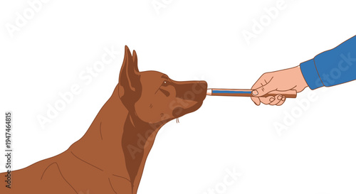 Dog Receiving Medical Treatment Through Nasal Tube. Vector Illustrations. EPS Editable