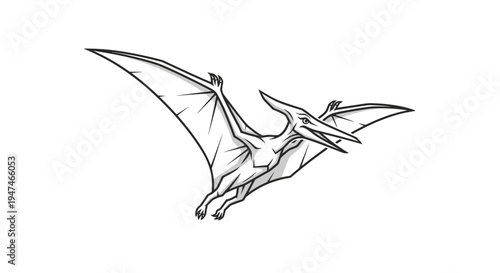 Pterodactyl Flying Reptile Pterosaur Dinosaur Vector Illustration Graphic Element