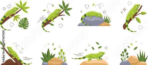 Green iguana lizard vector character set in various poses on tropical branches and rocks with jungle leaves elements