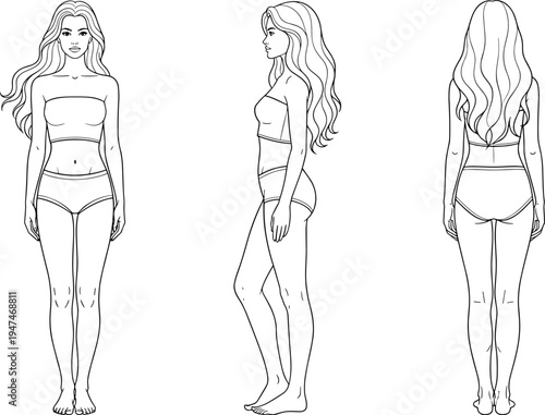 Female body anatomy front side back views, woman figure outline illustration, fashion model template, human proportions reference design